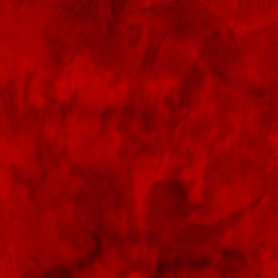 ANIMISM Front Cover