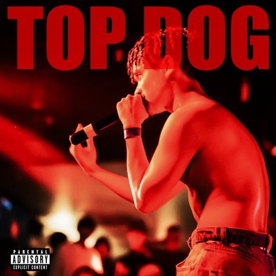 TOP DOGのジャケット写真
