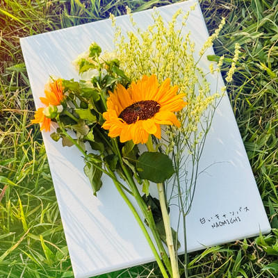 White Canvas Front Cover