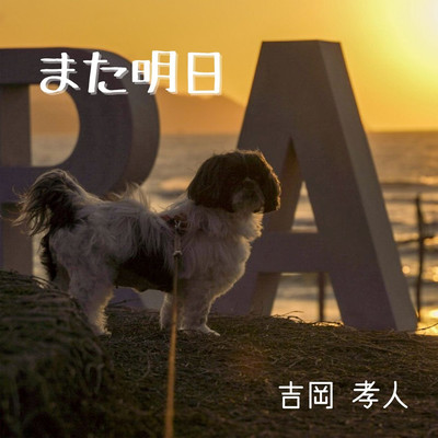 また明日のジャケット写真