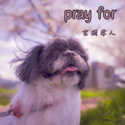 pray forのジャケット写真