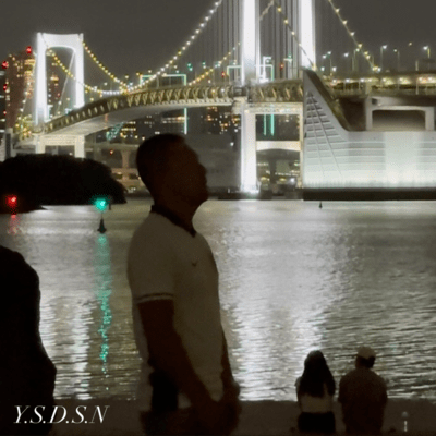 Y.S.D.S.Nのジャケット写真