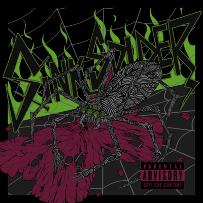 SINK SPIDER Front Cover