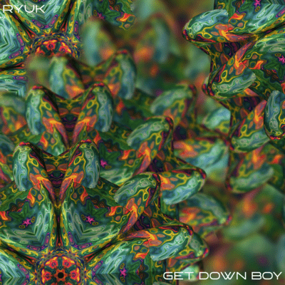 GET DOWN BOY Front Cover
