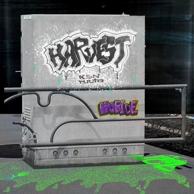 HARVEST (feat. ruuto)のジャケット写真