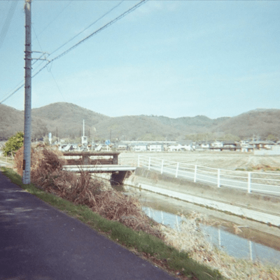 四葉のジャケット写真