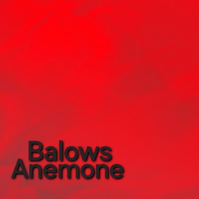 Anemone Front Cover
