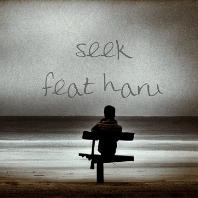 Seek (feat. 8ru) Front Cover