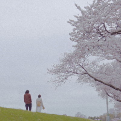 春、揺らぐ、勿忘草のジャケット写真