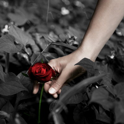 Only You Front Cover