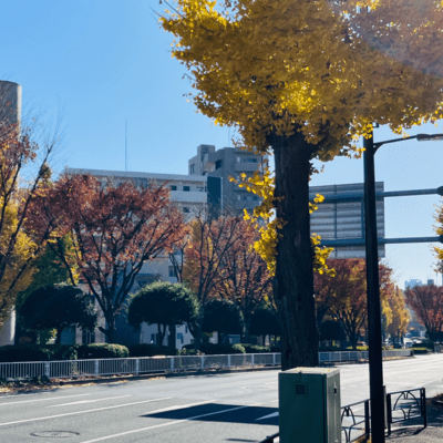 kogarashi Front Cover