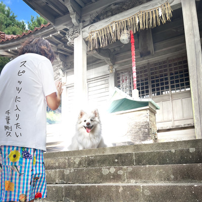 I want to join Spitz Front Cover