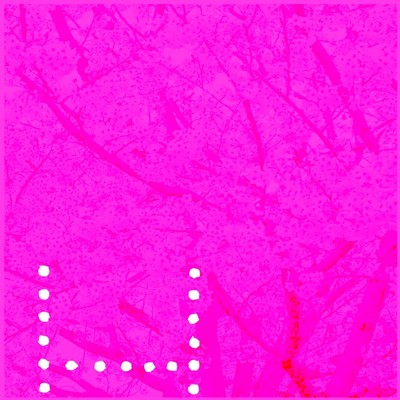 春風 Last Stepのジャケット写真