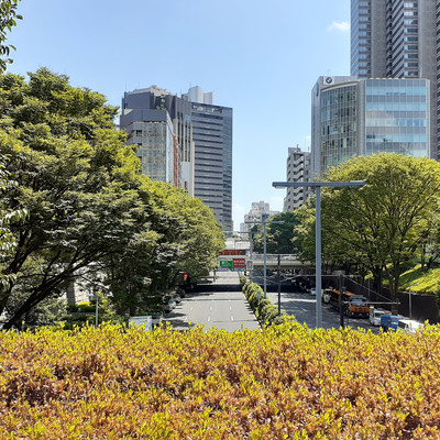 Clear (Scene #1) Front Cover