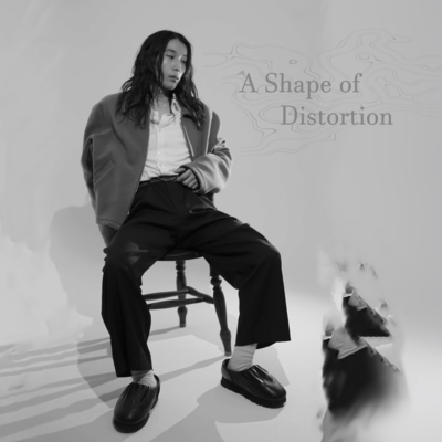 A Shape of Distortion Front Cover