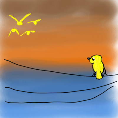 lone bird Front Cover