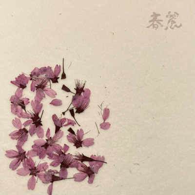 春麗のジャケット写真