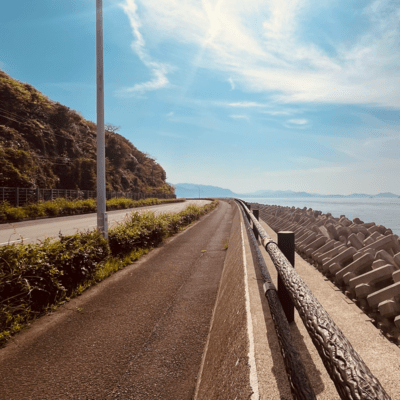 行方のジャケット写真