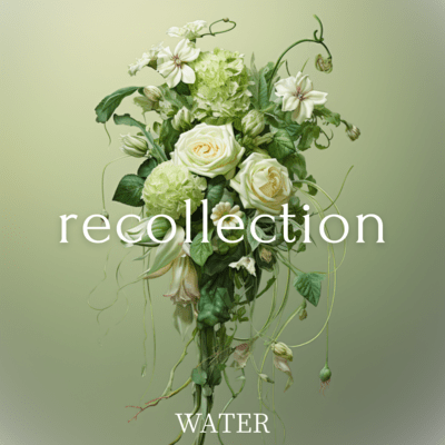 Recollectionのジャケット写真