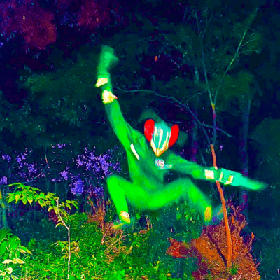 緑のジャケット写真