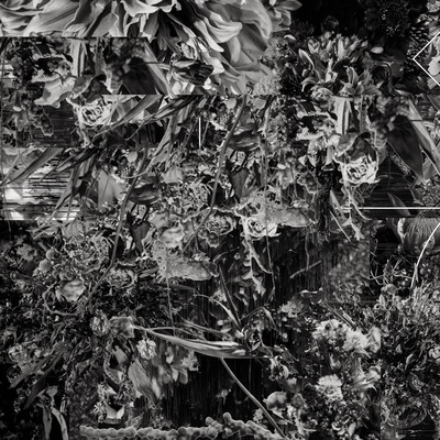 これは予告編です。のジャケット写真