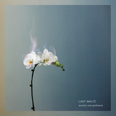 LAST WALTZ Front Cover