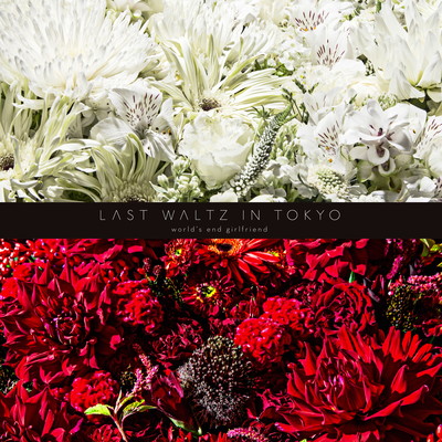 LAST WALTZ IN TOKYO Front Cover