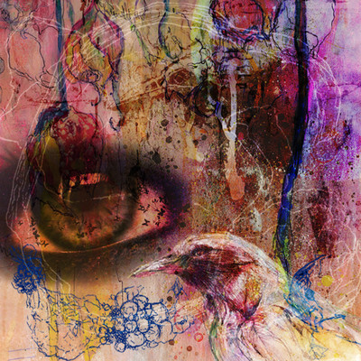 Song of the Bird Front Cover