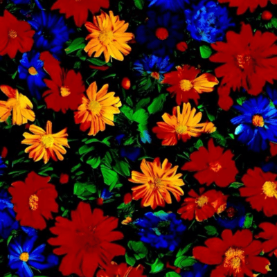 THE MESS Front Cover