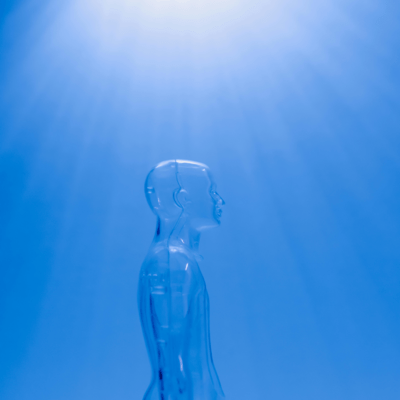 Strayのジャケット写真