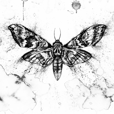 Mistrust Front Cover