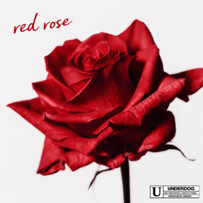 RED ROSE Front Cover