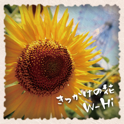 きっかけの花のジャケット写真