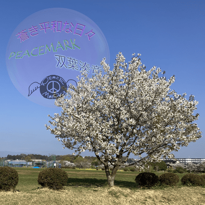 Blue Peaceful Days Front Cover