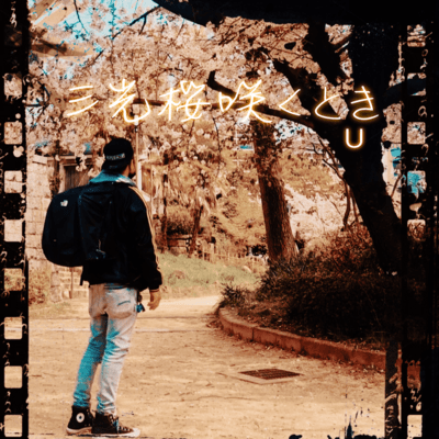 When the Sanko cherry blossoms bloom Front Cover