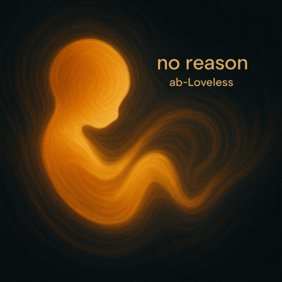 no reasonのジャケット写真