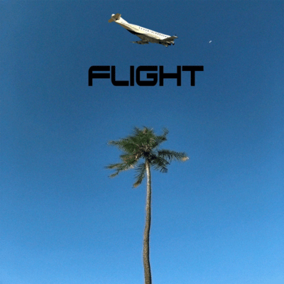 FLIGHTのジャケット写真
