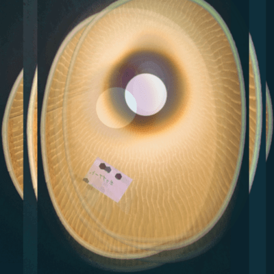 reliefのジャケット写真