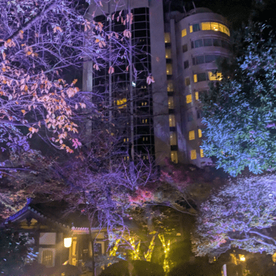 道程のジャケット写真