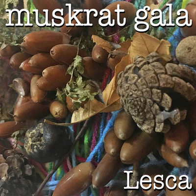 muskrat galaのジャケット写真