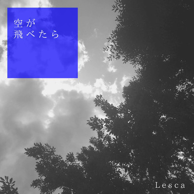 空が飛べたらのジャケット写真