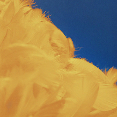 倫のジャケット写真