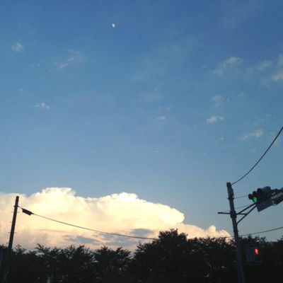 Yabuka Front Cover