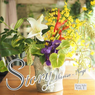 Story Vol.1 Front Cover