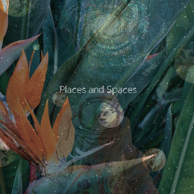 Places and Spaces Front Cover