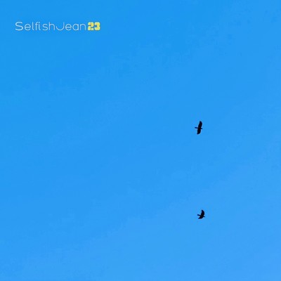 フライのジャケット写真