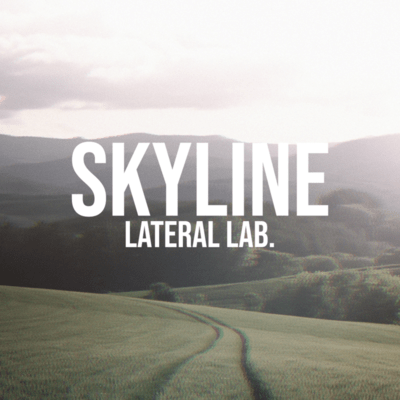 SKYLINEのジャケット写真