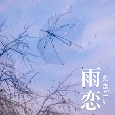 fell in love on a rainy day Front Cover