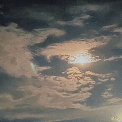 Life is...のジャケット写真