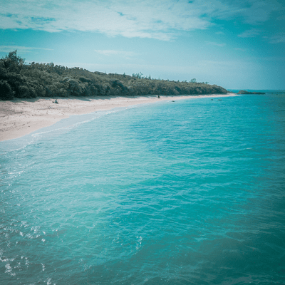 翠色の日々のジャケット写真